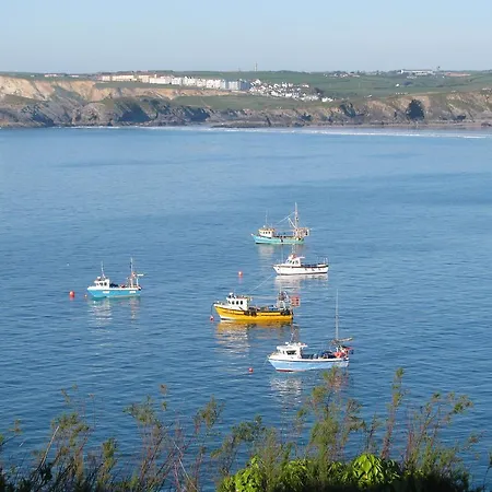 Sea View House New Quay
